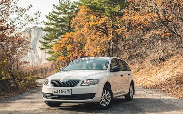 Trabzon En Yakın Skoda Servisi