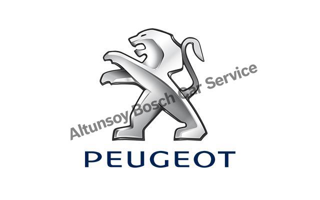 Peugeot Bakımı 